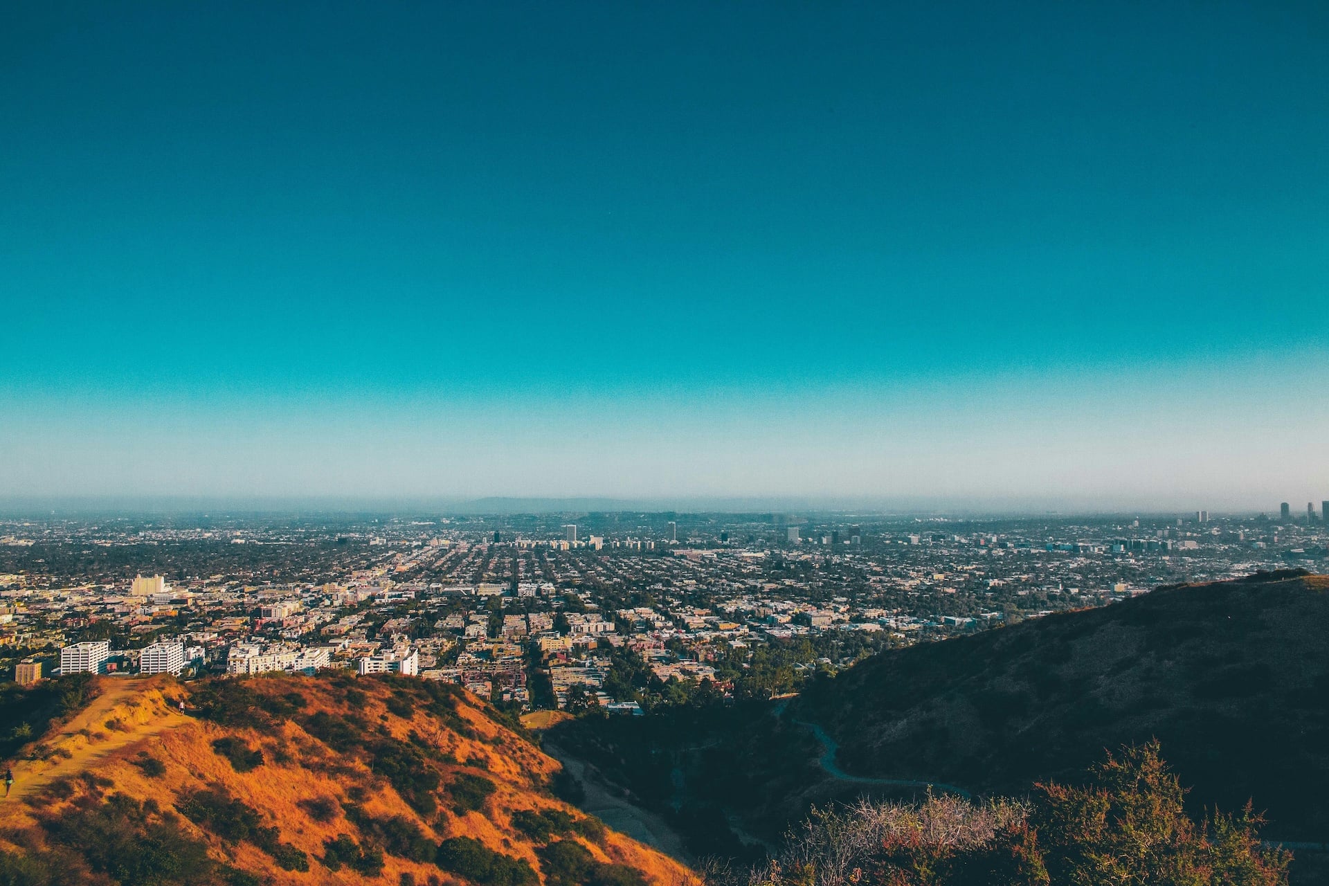 Professional cleaning services in Culver City